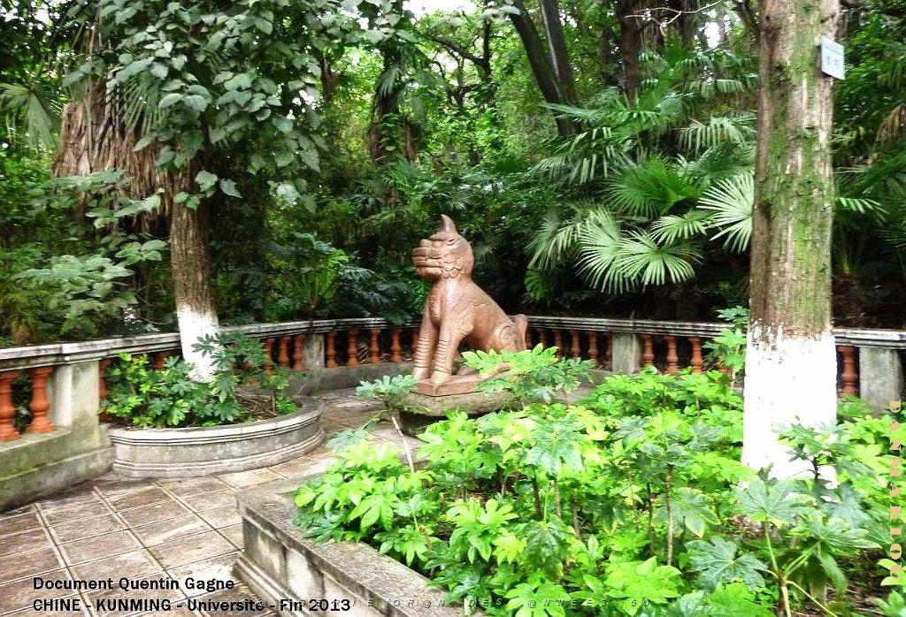 012-Quentin - Kunming .JPG